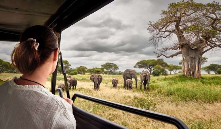 safari car hire Uganda