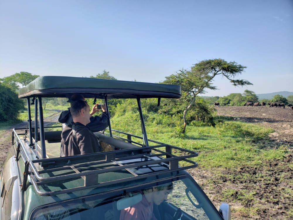 safari car hire Uganda